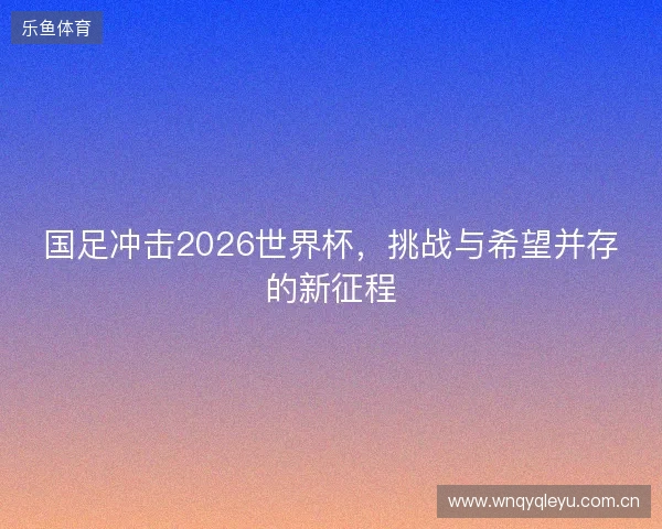 国足冲击2026世界杯，挑战与希望并存的新征程